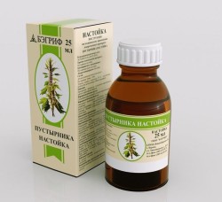 Пустырника